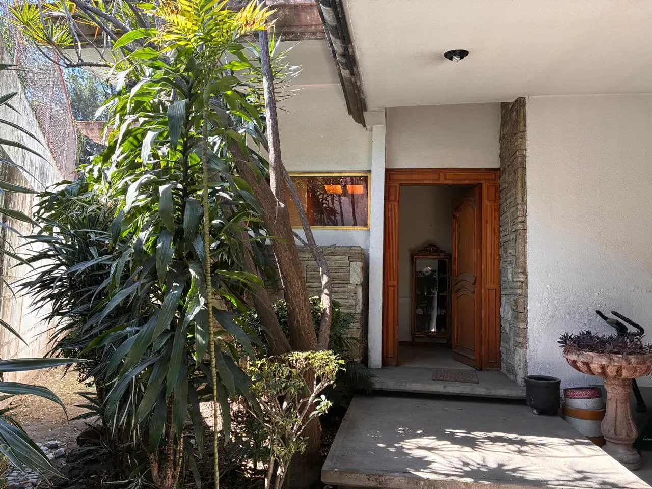 Acceso a la casa entre la vegetación del patio, con la puerta de madera al fondo.